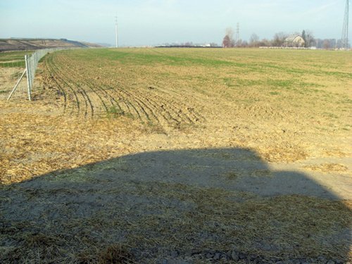 Property photo 8 - 60 Acres Offered in 2 Tracts
